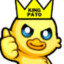 KingPato