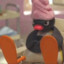 Pingu