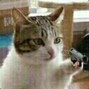 我要开始说谎了