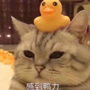 武则天死了夫君