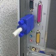 [ESGAA] Falcon Eddie