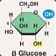 Beta Glucose