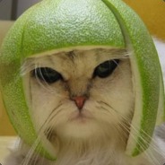 urk - steam id 76561197970981974