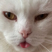 зонт анальный