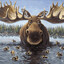 Moose Juice
