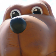 mcgruff