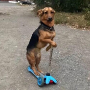 переселенец