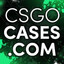 DaroWhite CS.army CSGOSKINS