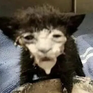 What''\'\\\'\\\\\\\'