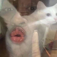 晴天打伞不是因为避太阳