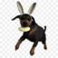 doggy sytle
