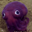 PowerfulSquid