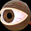 follower of the eye