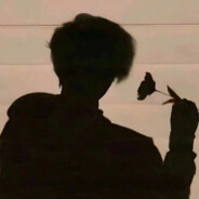 初雪怎可替白头