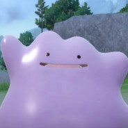 Ditto