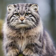 серік ет упыр