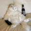 fatover