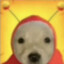 qwe