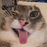 VAGOSS