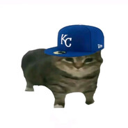 尼克狐尼克你被捕了