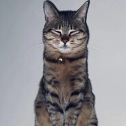 别舔盒子来舔我