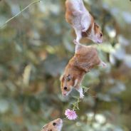 哈哈哈哈哈哈哈