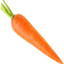 carrot