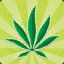 Cannabis Sativa