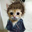 Miyamoto Meowsashi