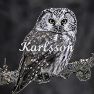 karlssonl713