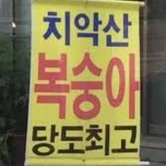 치악산복숭아당도최고