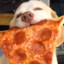 PizzaDog