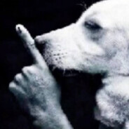 Бутылка в руснявой жопе