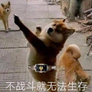 J！悟道就在此刻