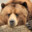 Koda