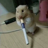 玩家头像