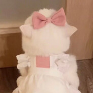 可以打爆你的头吗