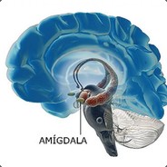 Amigdala