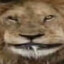 НадодепоДеБздрис's avatar