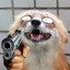 Avatar of Nyto