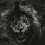 ♠Oddy Nuff da Snow Leopard♠