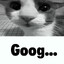 Goog...