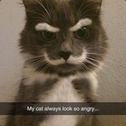 Святой источник Steam avatar