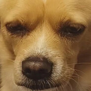 VeronicasMixedFruitVegetableJuic