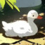 yikes_the_duck