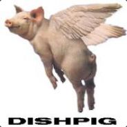 Dishpig - steam id 76561197961199942