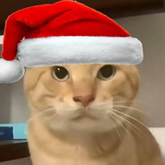 圆头幻影哈气大师