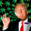 DONALD BLUNT