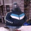 harwey