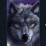 Wolf avatar